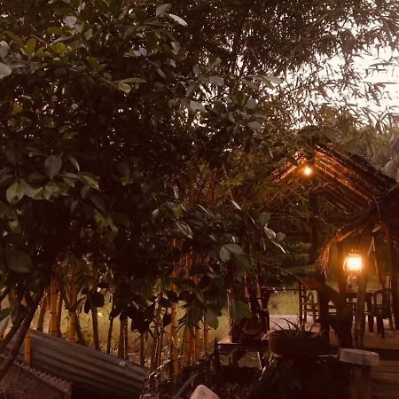 Aliya Riverside & Safari Resort اوداوالاوي المظهر الخارجي الصورة
