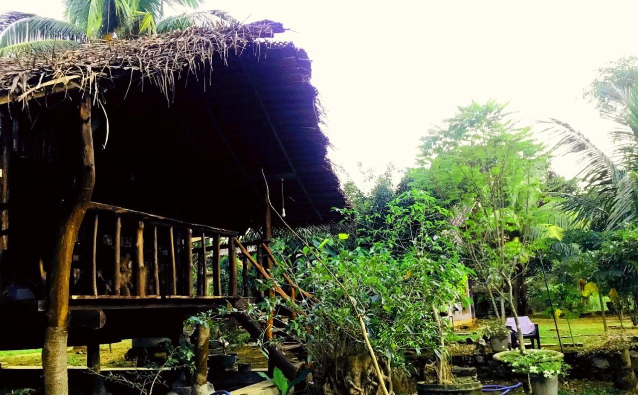 Aliya Riverside & Safari Resort اوداوالاوي المظهر الخارجي الصورة