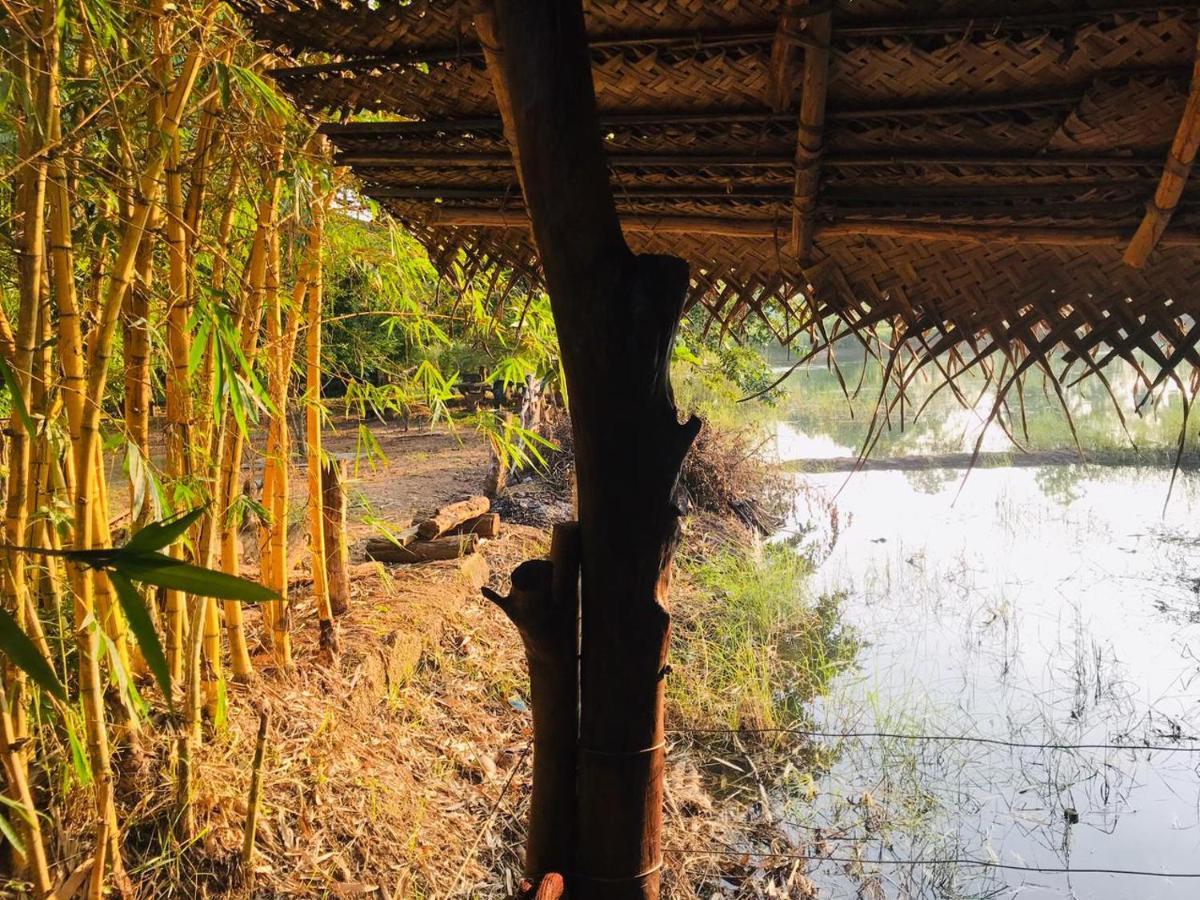 Aliya Riverside & Safari Resort اوداوالاوي المظهر الخارجي الصورة