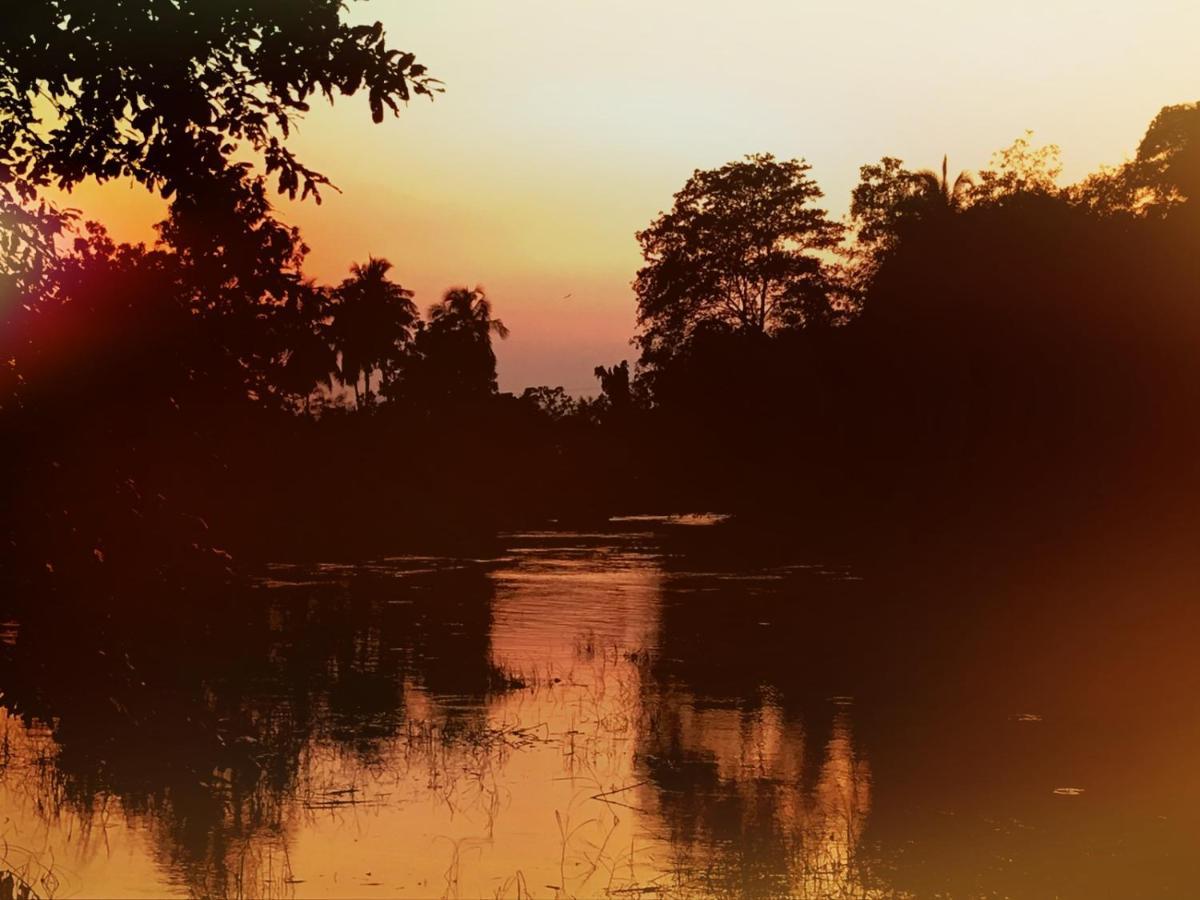 Aliya Riverside & Safari Resort اوداوالاوي المظهر الخارجي الصورة