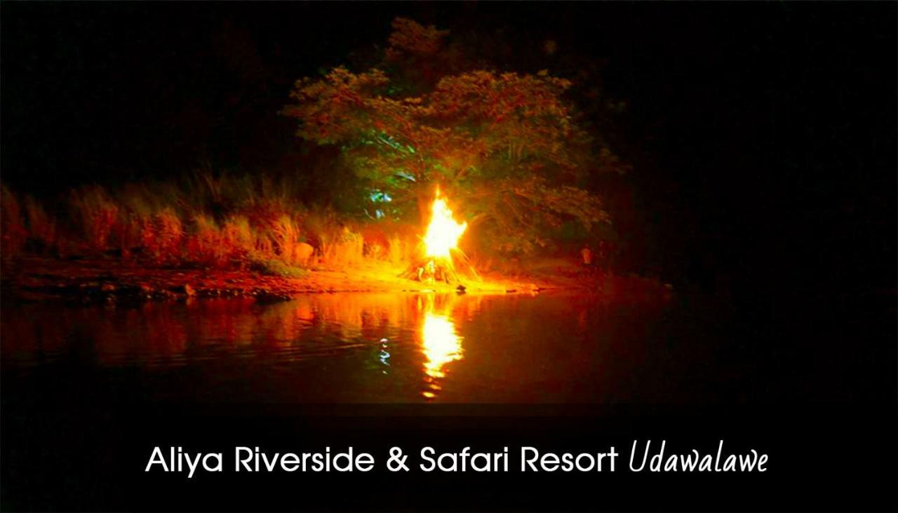 Aliya Riverside & Safari Resort اوداوالاوي المظهر الخارجي الصورة