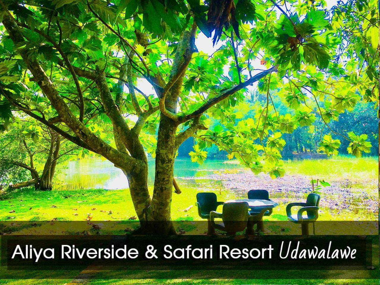 Aliya Riverside & Safari Resort اوداوالاوي المظهر الخارجي الصورة