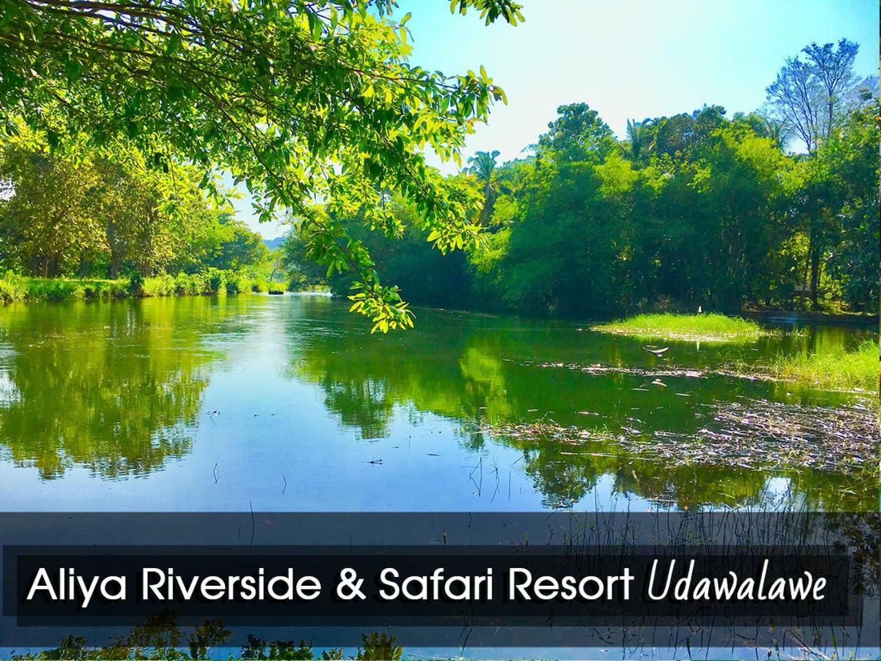Aliya Riverside & Safari Resort اوداوالاوي المظهر الخارجي الصورة
