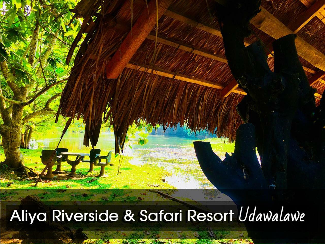 Aliya Riverside & Safari Resort اوداوالاوي المظهر الخارجي الصورة