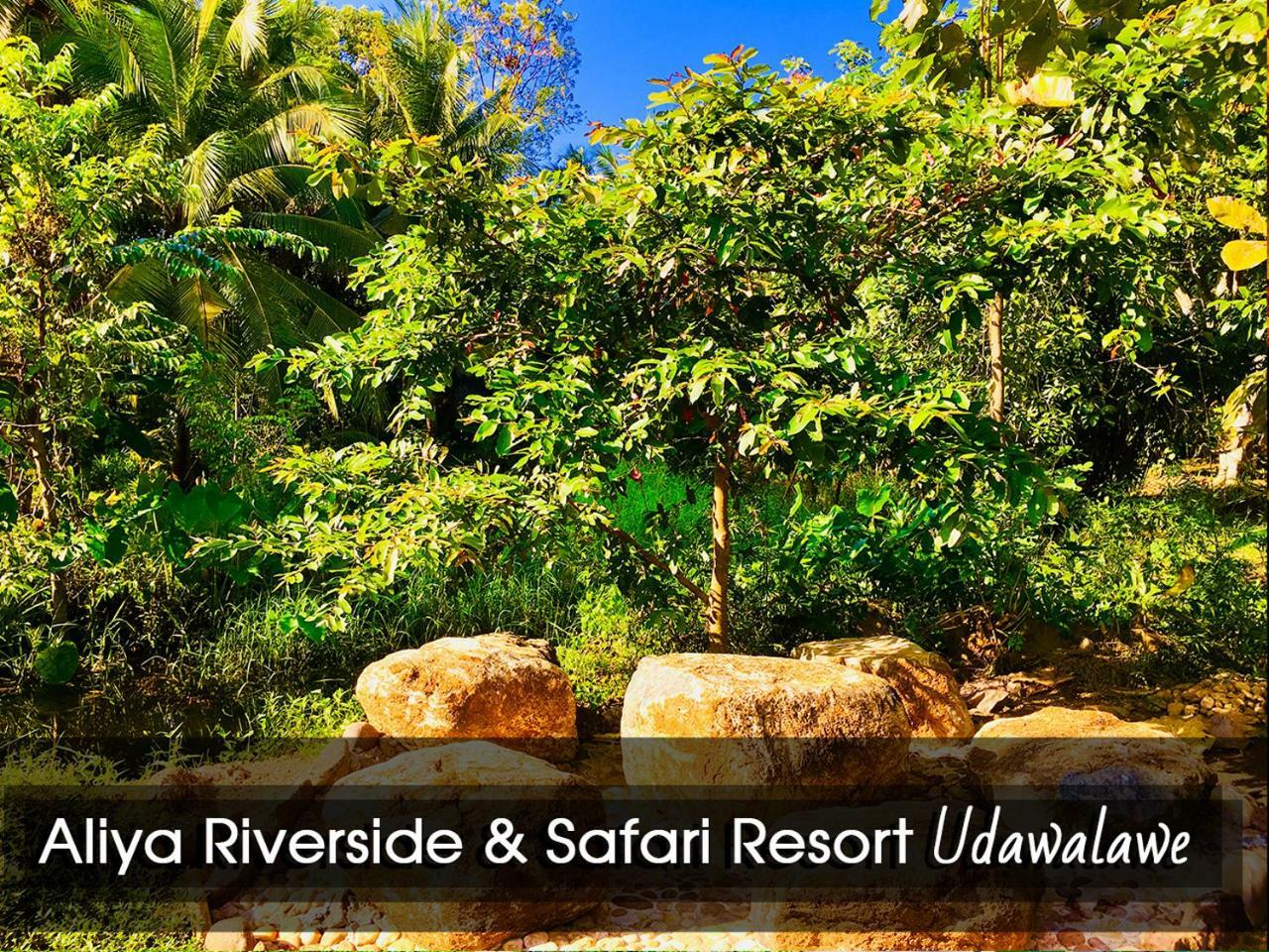 Aliya Riverside & Safari Resort اوداوالاوي المظهر الخارجي الصورة