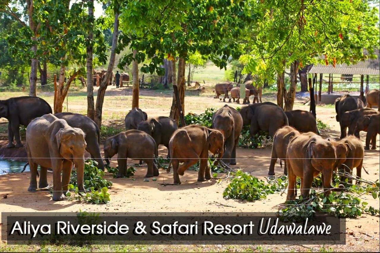 Aliya Riverside & Safari Resort اوداوالاوي المظهر الخارجي الصورة