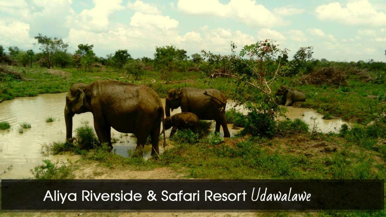 Aliya Riverside & Safari Resort اوداوالاوي المظهر الخارجي الصورة