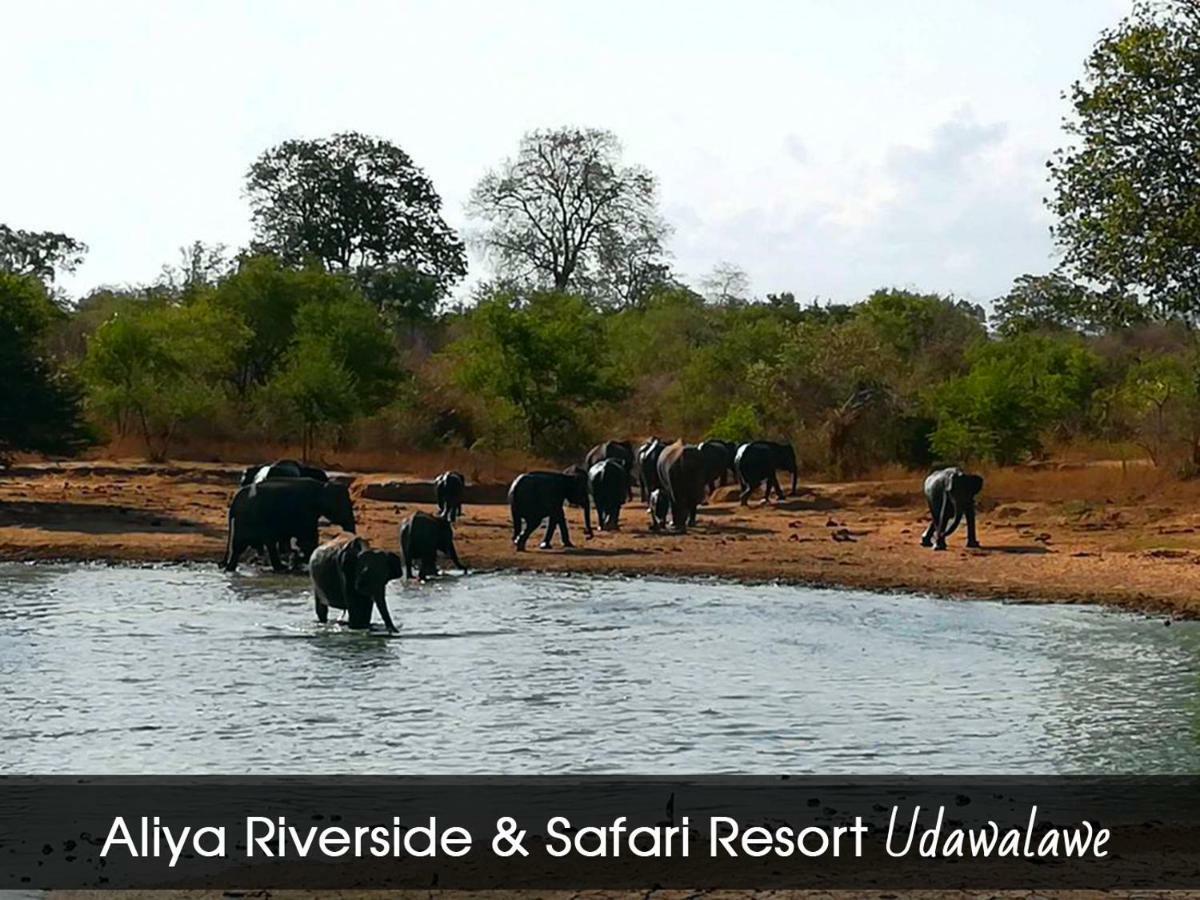 Aliya Riverside & Safari Resort اوداوالاوي المظهر الخارجي الصورة