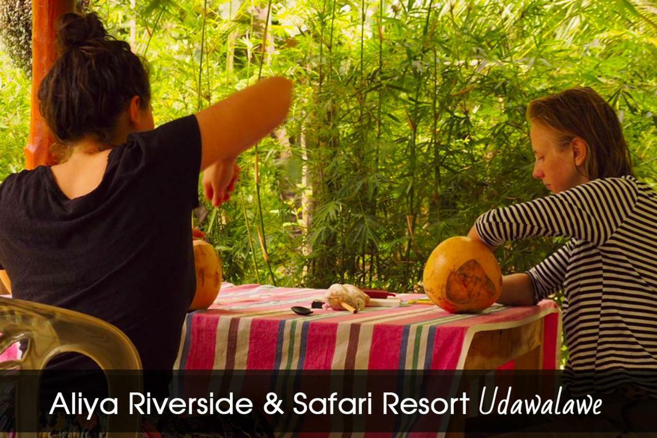 Aliya Riverside & Safari Resort اوداوالاوي المظهر الخارجي الصورة
