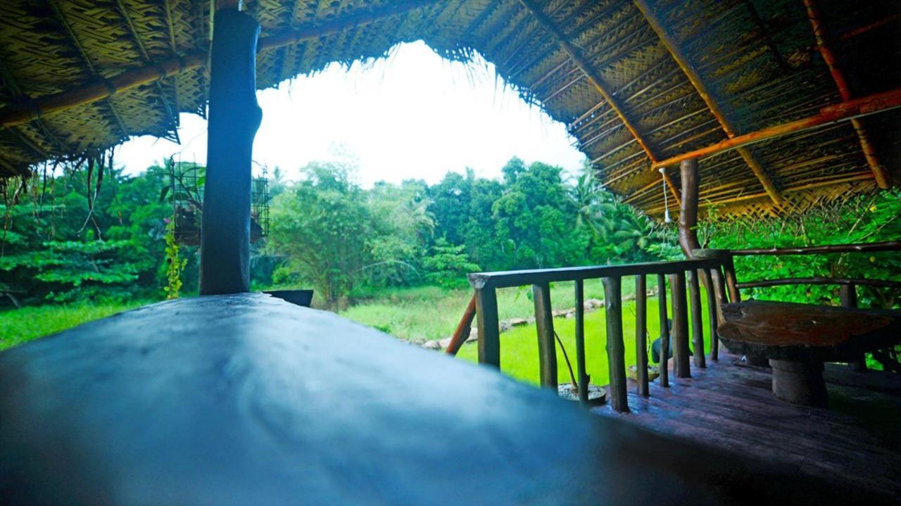 Aliya Riverside & Safari Resort اوداوالاوي المظهر الخارجي الصورة