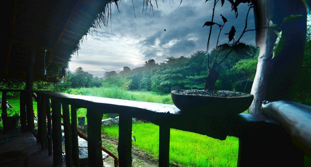 Aliya Riverside & Safari Resort اوداوالاوي المظهر الخارجي الصورة